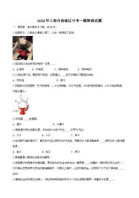 2026年上海市杨浦区中考一模物理试题-自定义类型