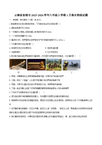 云南省曲靖市2025-2026学年八年级上学期1月期末物理试题-自定义类型