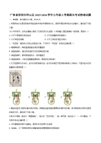 广东省深圳市坪山区2025-2026学年九年级上学期期末考试物理试题-自定义类型