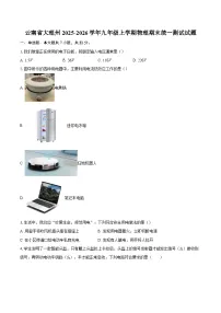 云南省大理州2025-2026学年九年级上学期物理期末统一测试试题-自定义类型