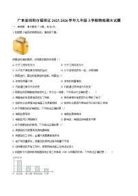广东省深圳市福田区2025-2026学年九年级上学期物理期末试题-自定义类型