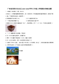 广东省深圳市宝安区2025-2026学年八年级上学期期末物理试题-自定义类型