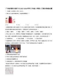 广东省揭阳市普宁市2025-2026学年八年级上学期1月期末物理试题-自定义类型