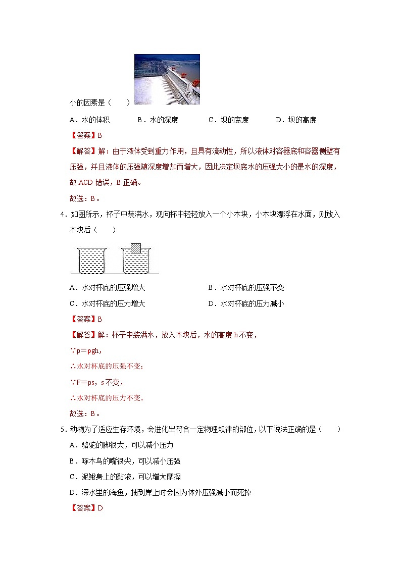 第八章第8.2节 探究:液体压强与哪些因素有关 2025-2026学年沪科版2024初中物理八年级下册同步复习讲义-第3页