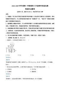 广东省揭阳市普宁市八年级上学期期末物理试题（解析版）-A4