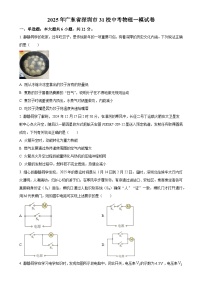 2025年广东省深圳市31校中考一模物理试题（原卷版）-A4