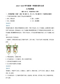 广东省江门市鹤山市九年级上学期期中考试物理试题（解析版）-A4