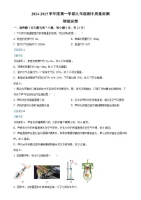 广东省揭阳市惠来县九年级上学期期中物理试题（解析版）-A4