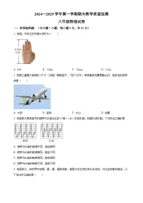 广东省惠州市惠东县八年级上学期期末统考物理试题（原卷版）-A4