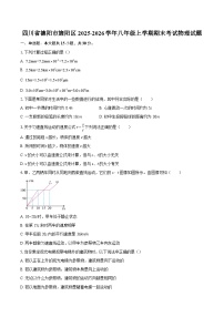 四川省德阳市旌阳区2025-2026学年八年级上学期期末考试物理试题-自定义类型