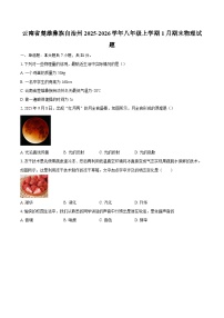 云南省楚雄彝族自治州2025-2026学年八年级上学期1月期末物理试题-自定义类型