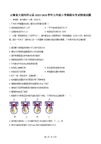 云南省大理州祥云县2025-2026学年九年级上学期期末考试物理试题-自定义类型
