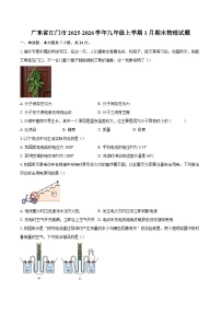 广东省江门市2025-2026学年九年级上学期1月期末物理试题-自定义类型