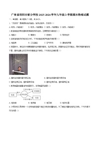 广东省深圳市部分学校2025-2026学年九年级上学期期末物理试题-自定义类型