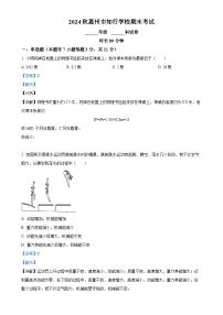 广东省惠州市惠阳区惠州市知行学校九年级上学期期末物理试题（解析版）-A4