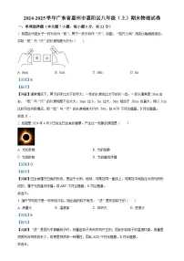 广东省惠州市惠阳区八年级上学期期末考试物理试题(解析版)-A4