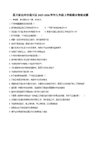 四川省达州市通川区2025-2026学年九年级上学期期末物理试题-自定义类型