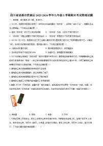 四川省成都市武侯区2025-2026学年九年级上学期期末考试物理试题-自定义类型
