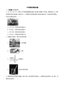湖南省邵阳市2026年中考模拟物理试题附答案