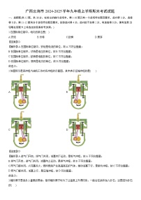 2024-2025学年广西北海市九年级上学期期末考试物理试卷（学生版）