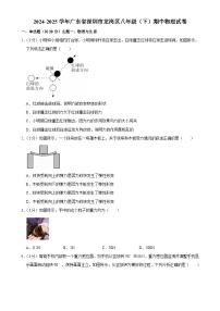 广东省深圳市龙岗区八年级下学期期中考试物理试卷-A4