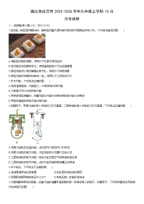 2025-2026学年湖北省武汉市九年级上学期10月月考物理试卷（学生版）