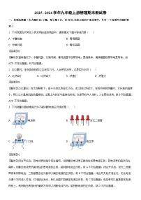2025-2026学年河南省驻马店市汝南县九年级上学期1月期末物理试卷（解析版）
