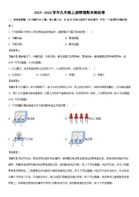 2025-2026学年河南省驻马店市汝南县九年级上学期1月期末物理试卷（解析版）