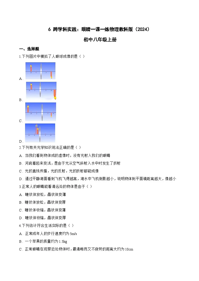 6 跨学科实践:眼睛一课一练物理教科版(2024)初中八年级上册(无答案)第1页