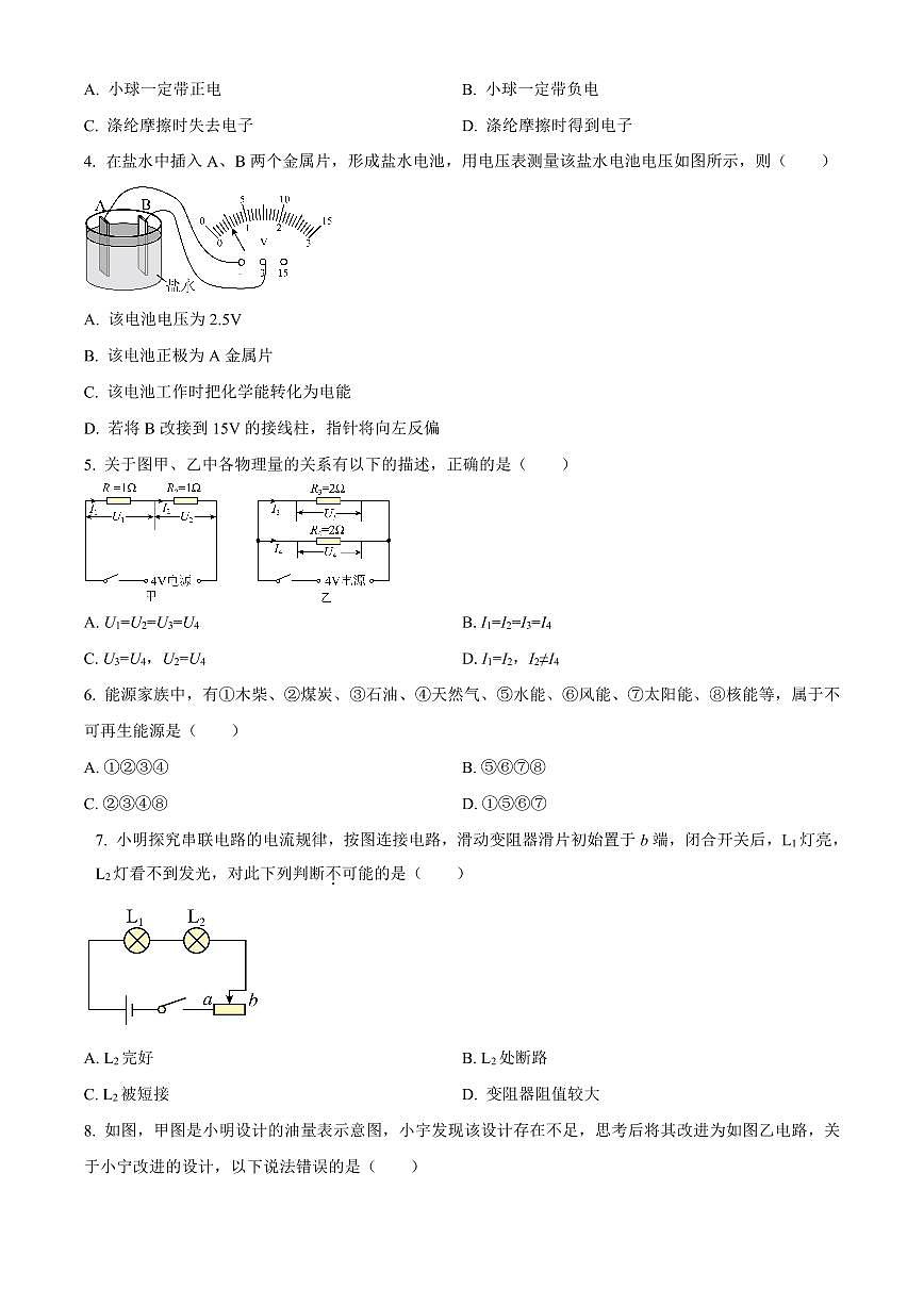 广东省广州市执信中学2024-2025 学年九年级下学期开学考试物理试题含答案第2页