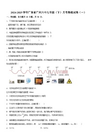 广东省广州市第六中学2024-2025学年九年级下学期第一次月考物理试题（含答案）