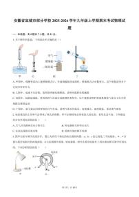 2025-2026学年安徽省宣城市部分学校九年级上学期期末考试物理试题(含答案)