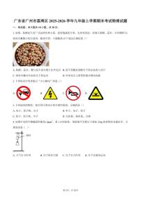 2025-2026学年广东省广州市荔湾区九年级上学期期末考试物理试题(含答案)
