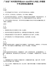 广东省广州外国语学校2025-2026学年九年级上学期期中考试物理试题（解析版）