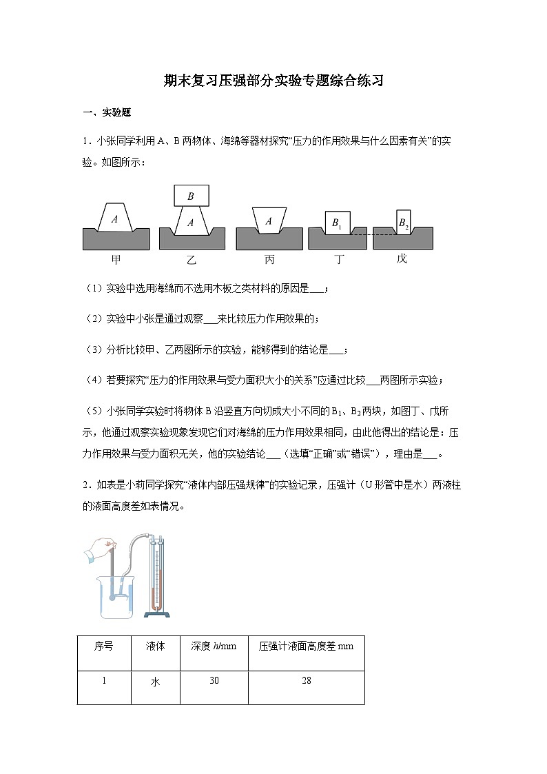 期末复习压强部分实验专题综合练习(含解析)八年级物理下册人教版【2024】第1页