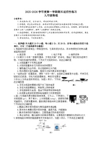 河北石家庄市桥西区2025-2026学年第一学期期末适应性练习九年级物理试卷