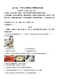 广东省广州市2025-2026学年九年级上学期物理期末模拟考试试题（学生版）