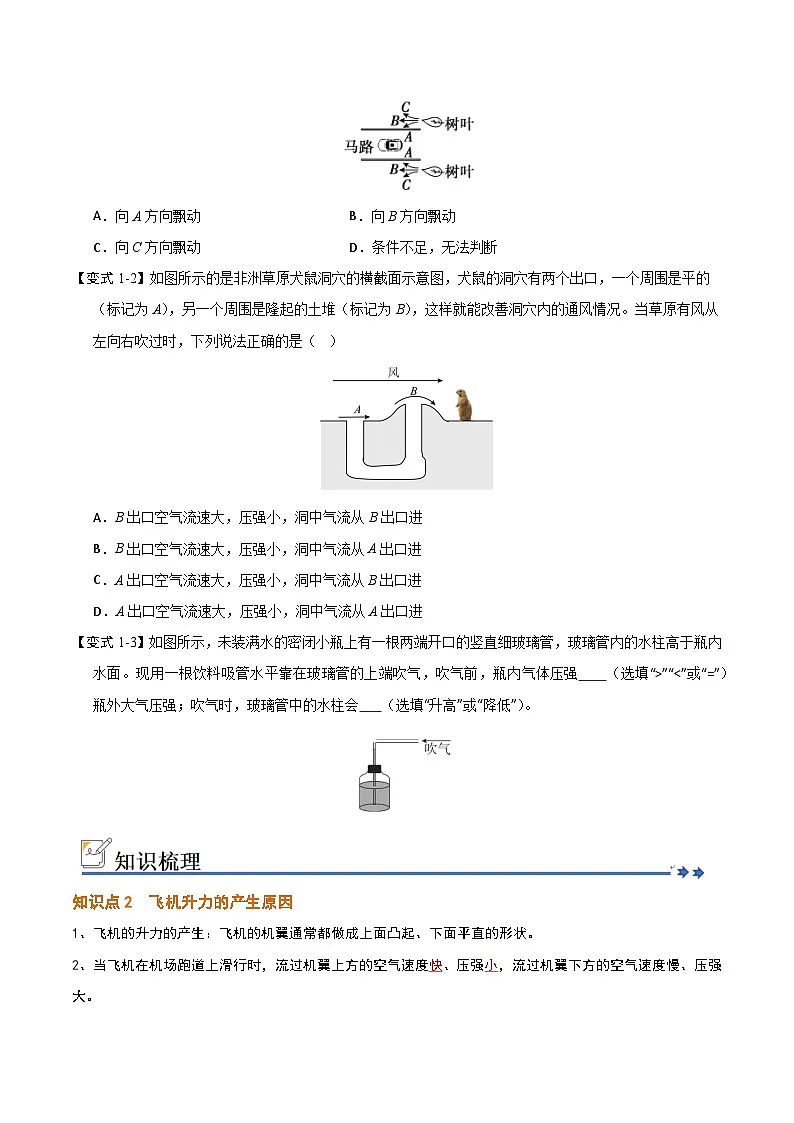 9.5 流体压强与流速的关系(知识解读)(原卷版)第2页