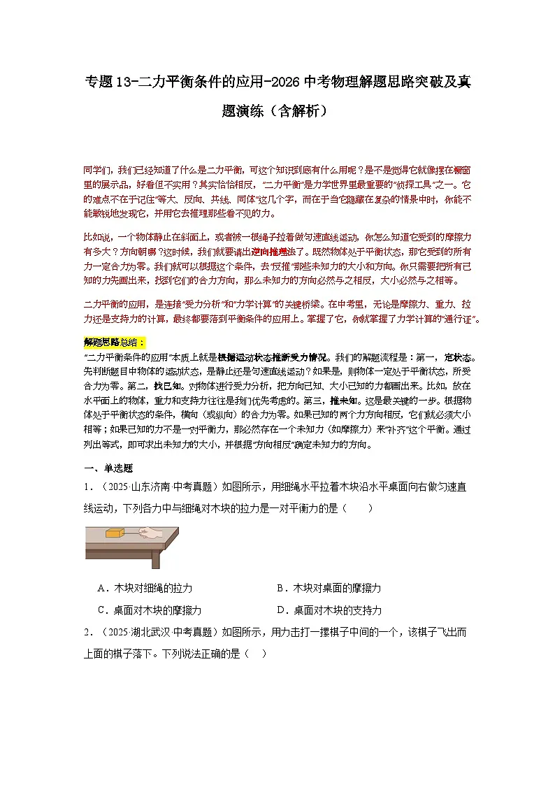 专题13-二力平衡条件的应用-2026中考物理解题思路突破及真题演练(含解析全国通用版)第1页