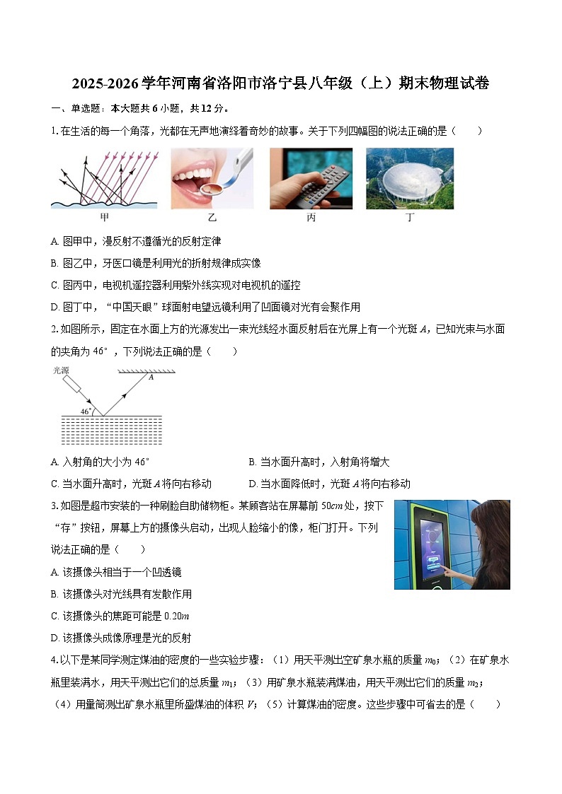 2025-2026学年河南省洛阳市洛宁县八年级(上)期末物理试卷-自定义类型第1页