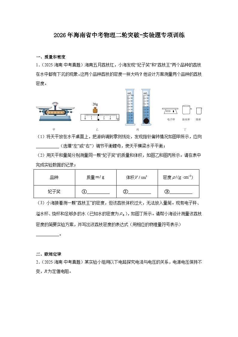 2026年海南省中考物理二轮突破-实验题专项训练第1页