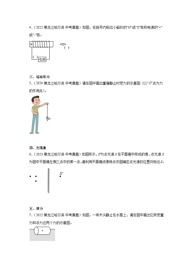 2026年黑龙江省中考物理二轮突破-作图题专项训练第2页
