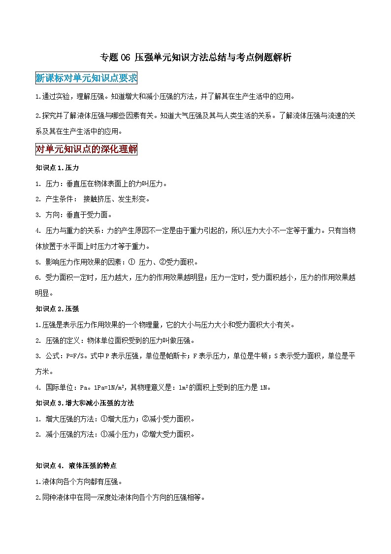 2026中考物理二轮复习专题06 压强单元应知应会练习(原卷版)第1页