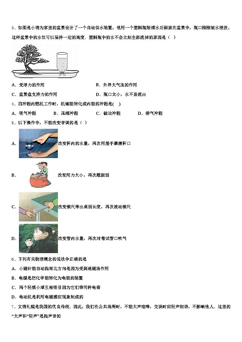 广西壮族自治区南宁市2026年中考物理猜题卷(含答案解析)第2页
