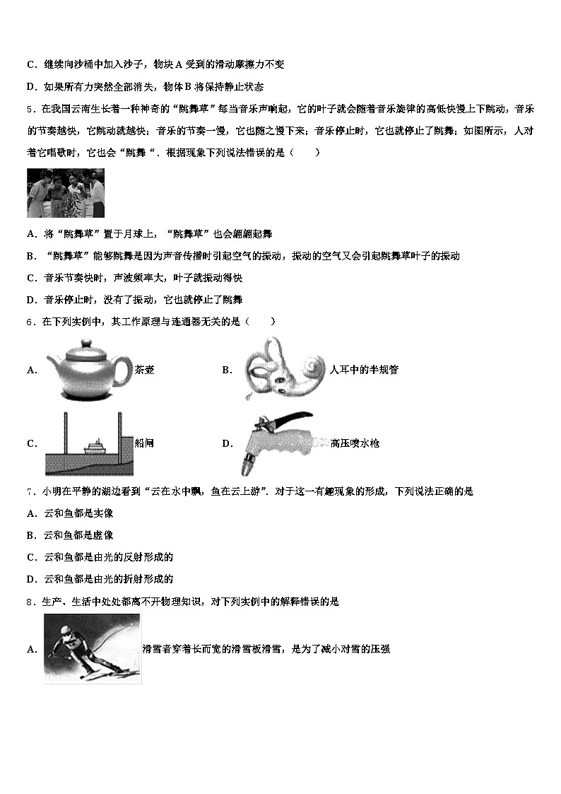 2025-2026学年嘉峪关市中考五模物理试题(含答案解析)第2页