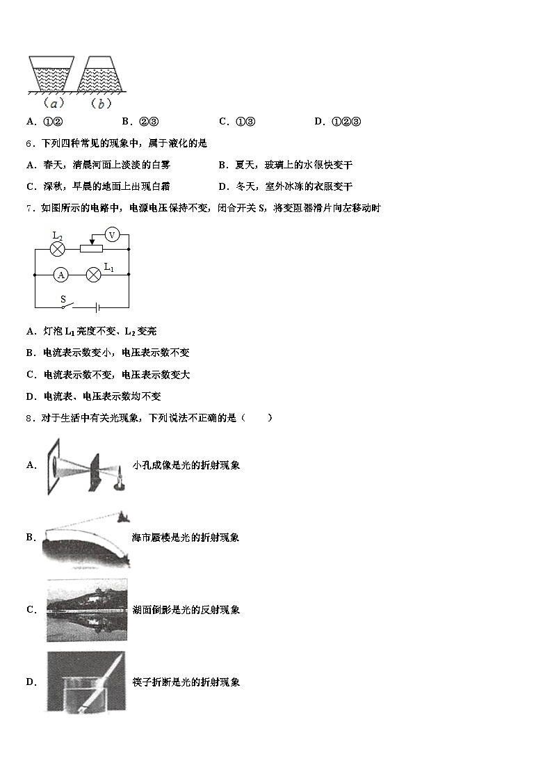 四川省资阳市2025-2026学年中考四模物理试题(含答案解析)第2页