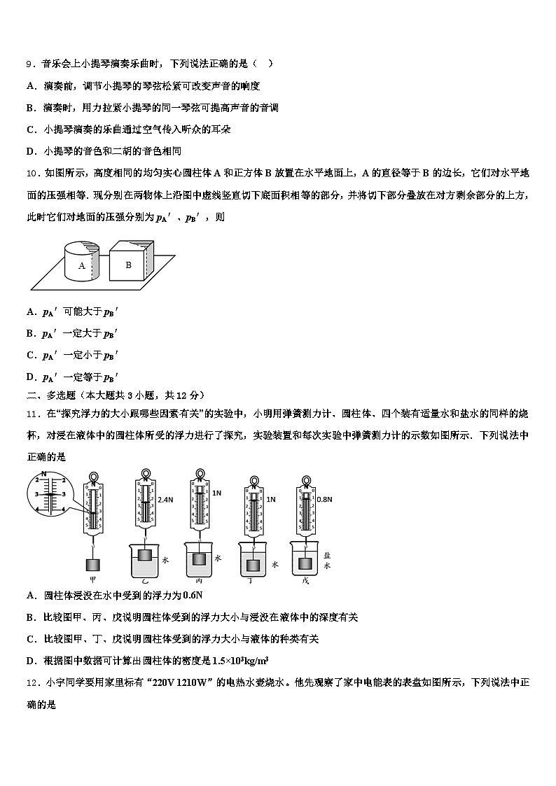 四川省资阳市2025-2026学年中考四模物理试题(含答案解析)第3页