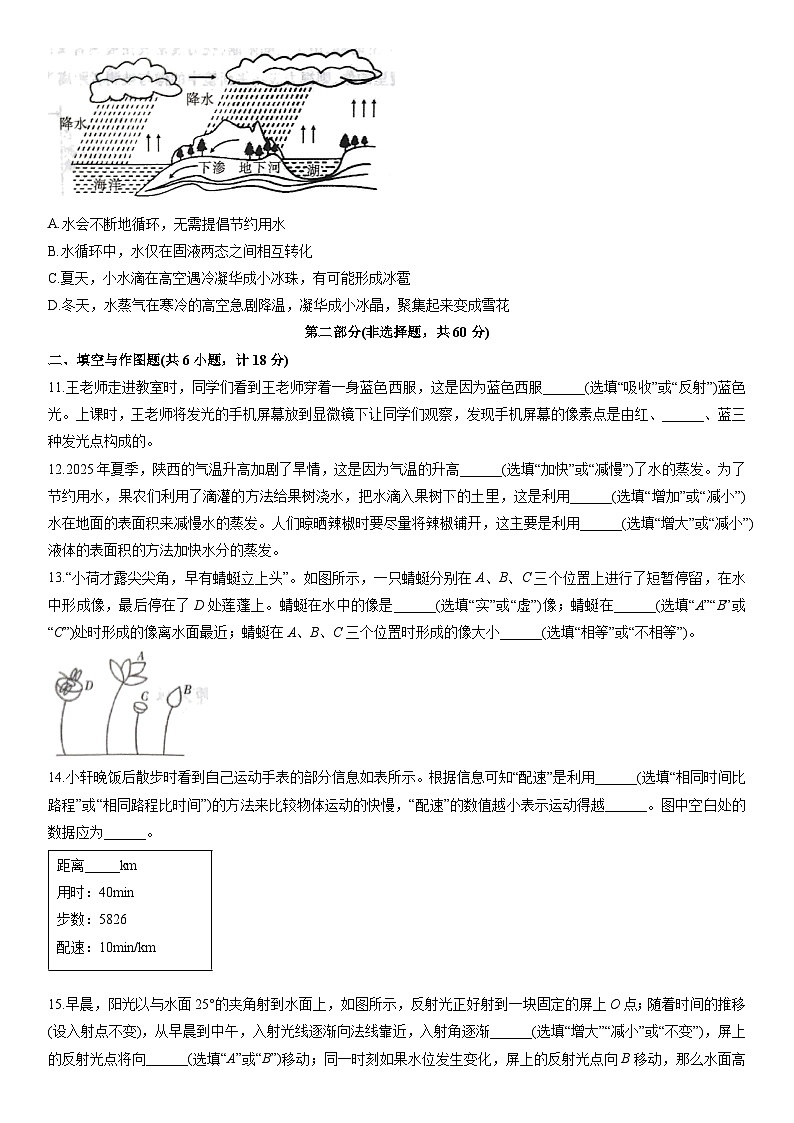 2025-2026学年陕西省八年级上学期期末质量调研物理试卷(学生版)第3页
