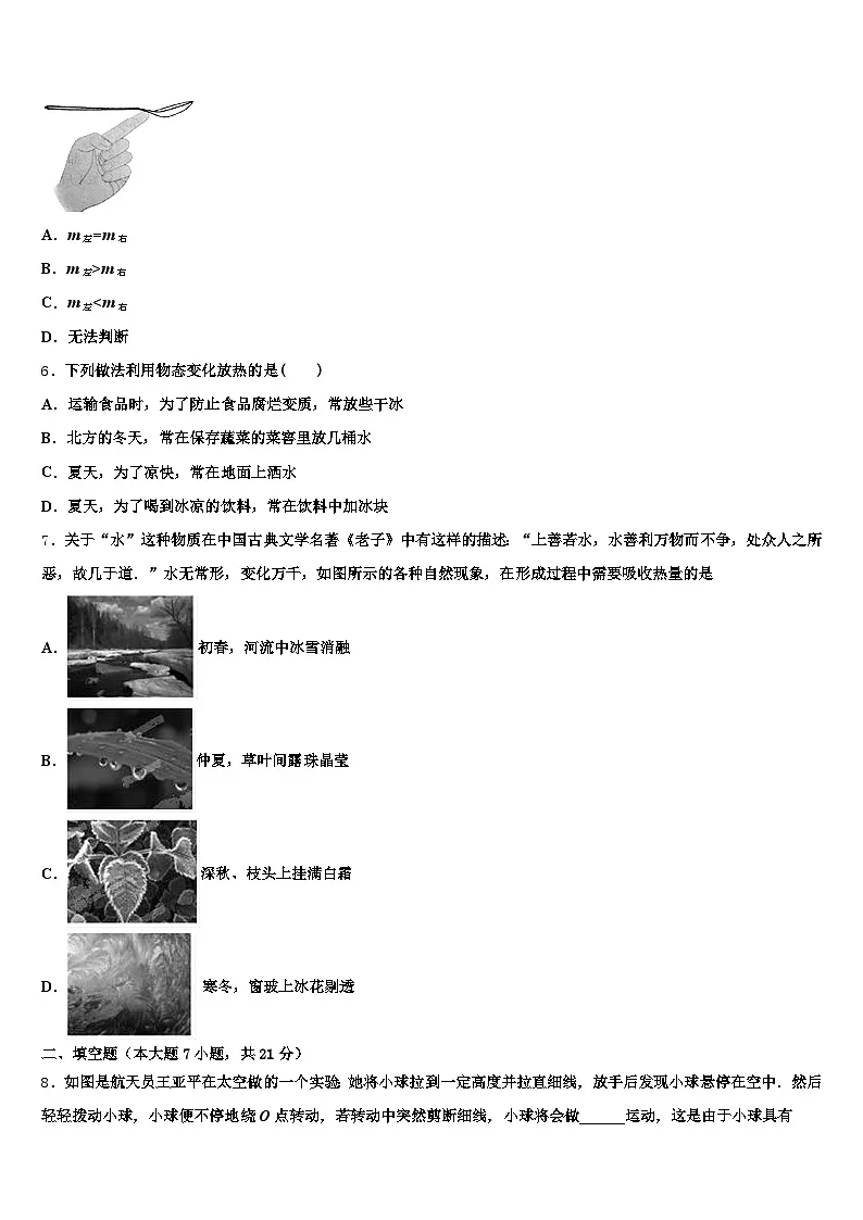 四川省遂宁市2025-2026学年中考物理模拟预测题(含答案解析)第2页