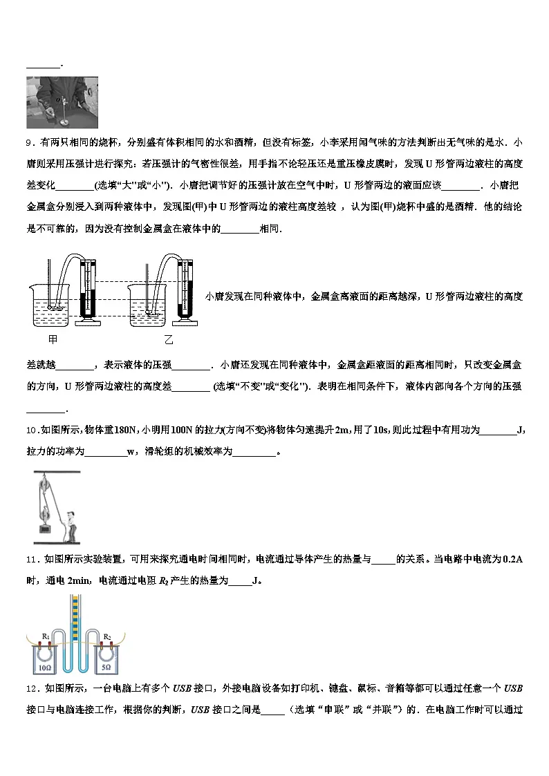 四川省遂宁市2025-2026学年中考物理模拟预测题(含答案解析)第3页